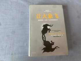 让大象飞:激进创新，让你一飞冲天的创业术