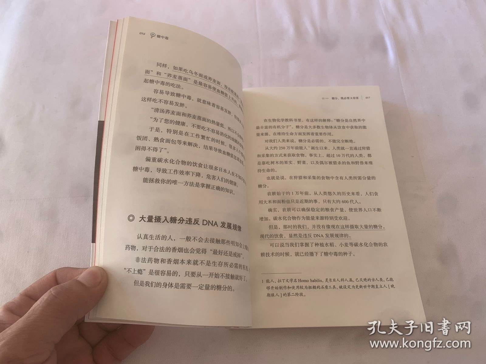 糖中毒（百万畅销书《饮食术》作者牧田善二亲授超强饮食法，提供对抗糖中毒的对策与戒除糖瘾的饮食法）