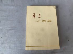 鲁迅小说选