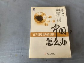 中国怎么办：当次货危机改变世界