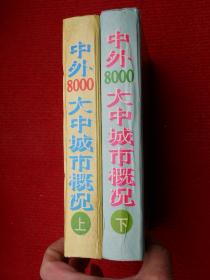 中外8000大中城市概况（上下册）精装