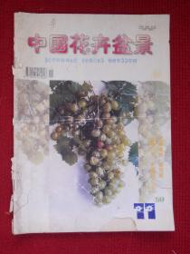 中国花卉盆景（1999年11期）