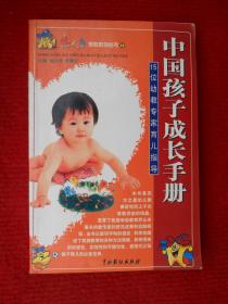 中国孩子成长手册：15位幼教专家育儿指导
