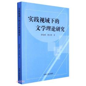 实践视域下的文学理论研究