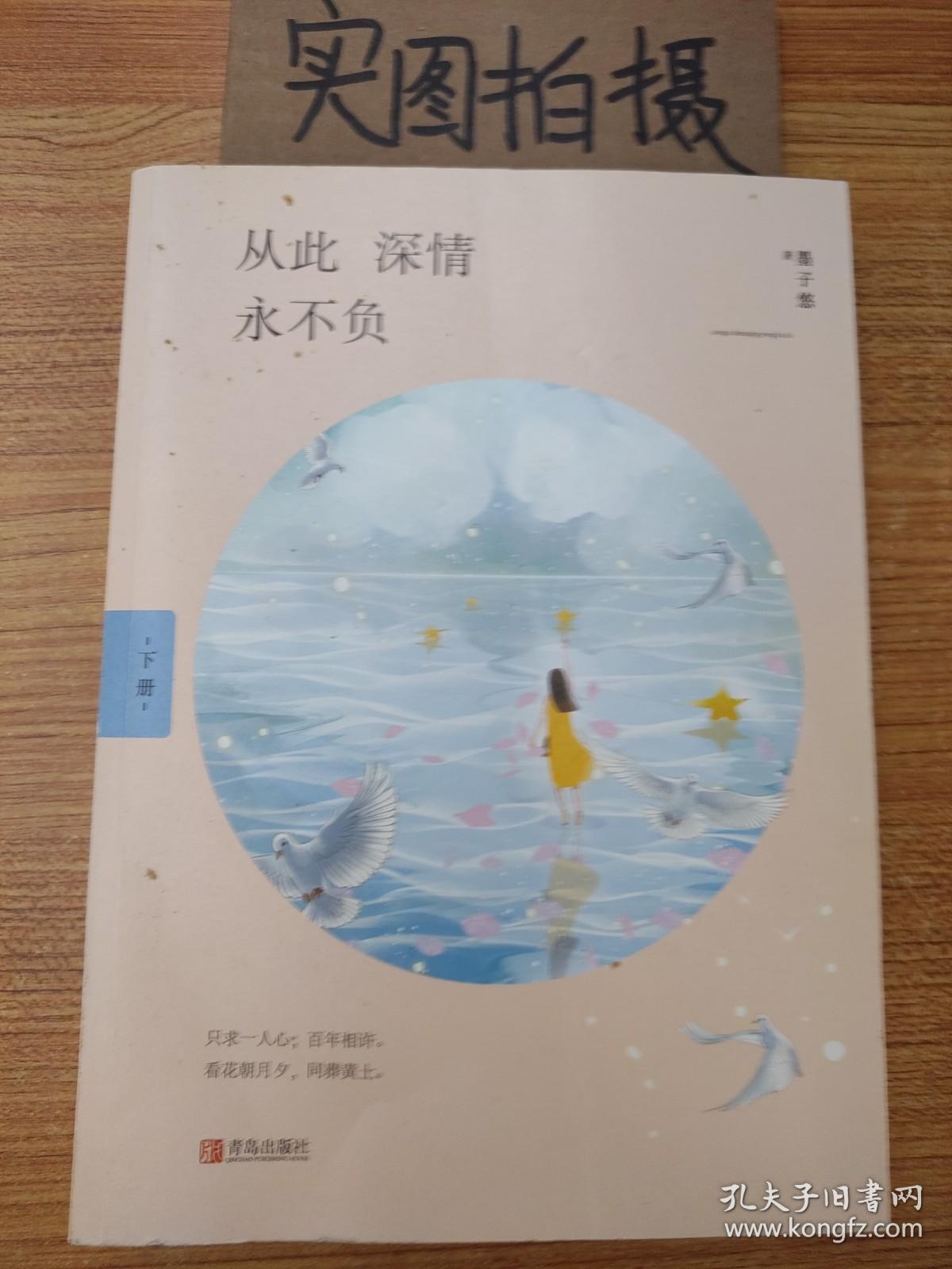 从此深情永不负 [