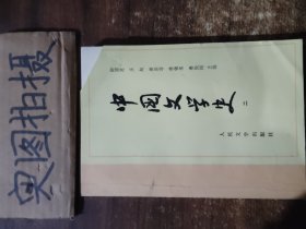 中国文学史.二