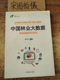 中国林业大数据发展战略研究报告/智慧林业丛书