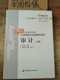 注会会计职称2019教材辅导东奥2019年轻松过关一《2019年注册会计师考试应试指导及全真模拟测试》审计（上下册）