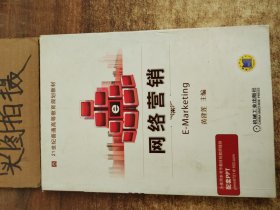 21世纪普通高等教育规划教材：网络营销