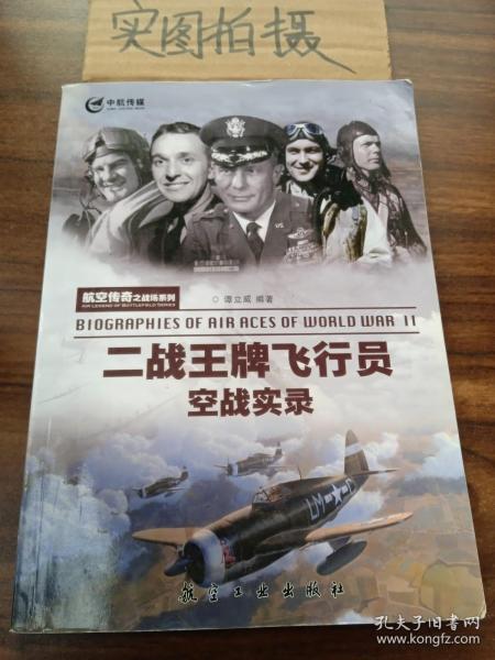 航空传奇之战场系列：二战王牌飞行员空战实录