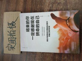 福慧自在：圣严法师讲金刚经