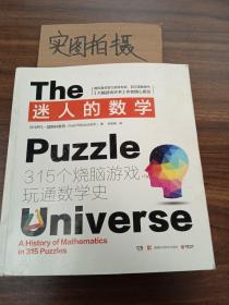 迷人的数学：315个烧脑游戏玩通数学史