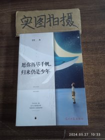 愿你历尽千帆，归来仍是少年 、