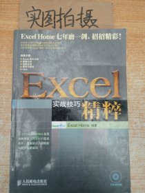 Excel实战技巧精粹