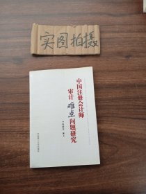 中国注册会计师审计难点问题研究 <