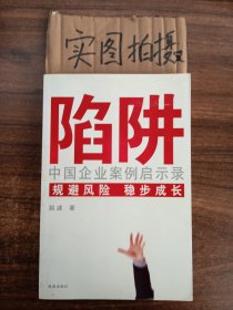 陷阱：中国企业案例启示录