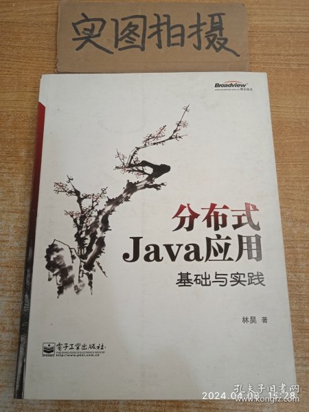 分布式Java应用：基础与实践