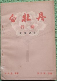 白牡丹行动/花山文艺出版社/1983