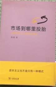 市场到哪里投胎/ 三种资本主义模式的得失/薛涌 著商务印书馆2013