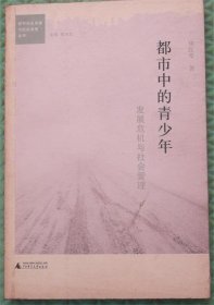都市中的青少年/华红琴 著；张文宏 编广西师范大学出版社2013