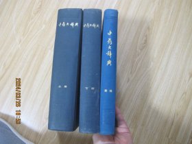 中药大辞典（上下册、附编三本一套）