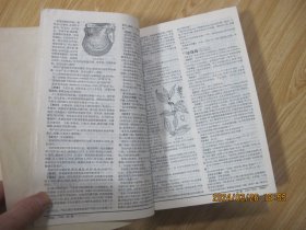 中药大辞典（上下册、附编三本一套）