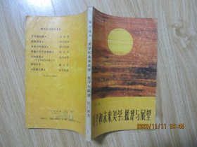 美学和未来美学：批评与展望