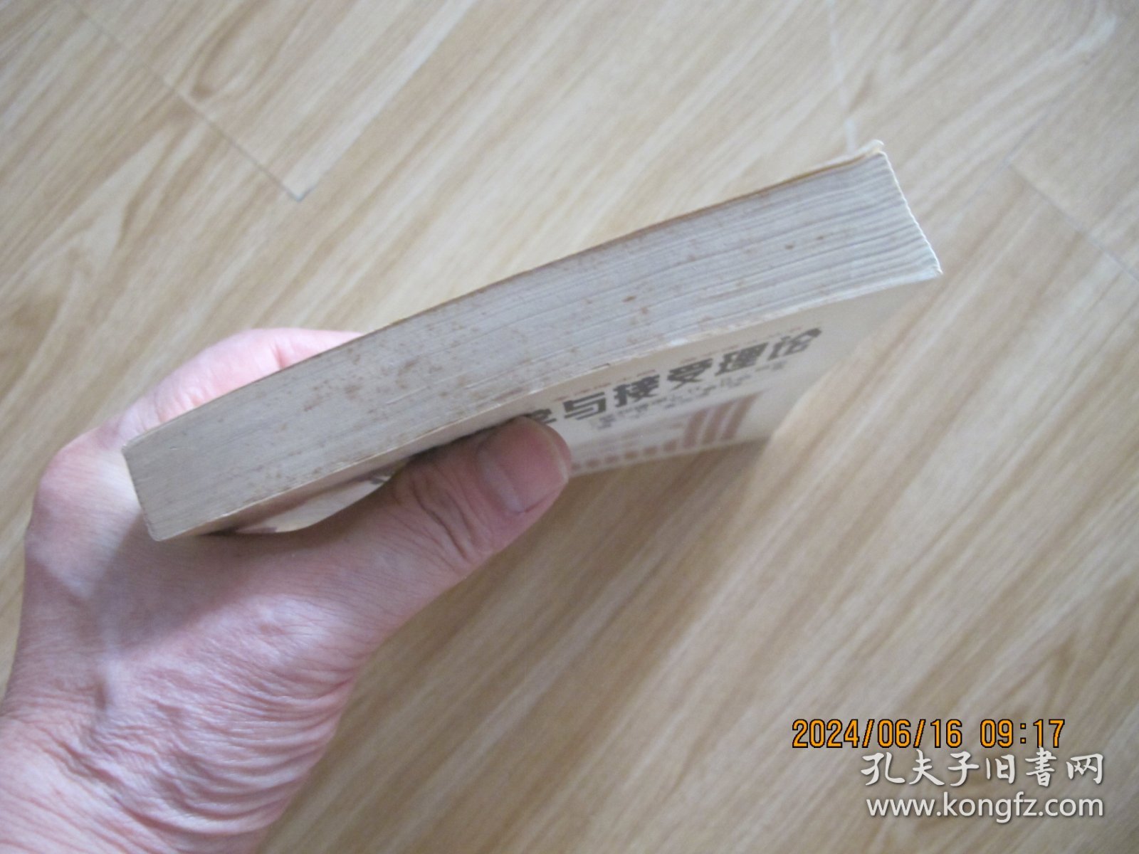 接受美学与接受理论.