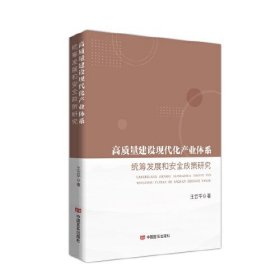 高质量建设现代化产业体系：统筹发展和安全政策研究