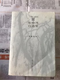 张晓风自选集