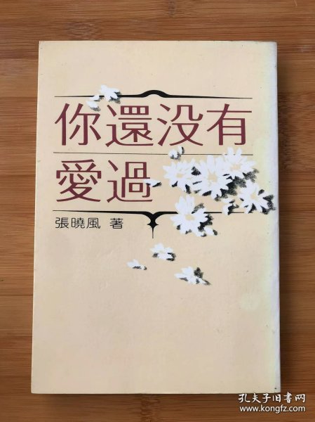 张晓风散文自选集