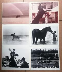 绝版老电影剧照：黑神驹 The Black Stallion （1979，无底片相纸老电影工作照，发布时全网仅此一套，美国故事片原版剧照12寸5张全套，保存完好近九品，发布时全网仅此一套，参见实拍图片)