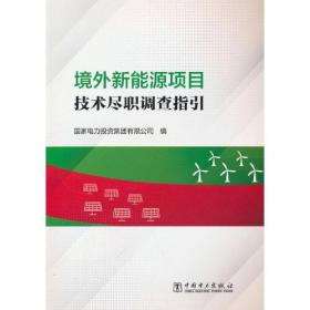 境外新能源项目技术尽职调查指引