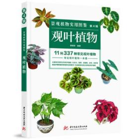 景观植物实用图鉴