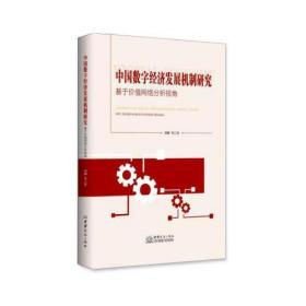 中国数学经济发展机制研究