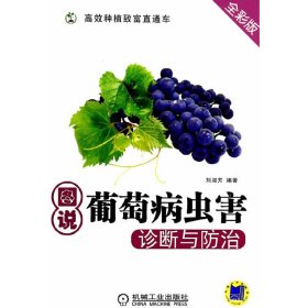 圖說葡萄病蟲害診斷與防治(高效種植致富直通車)