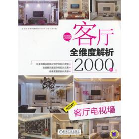 客厅全维度解析2000例：客厅电视墙