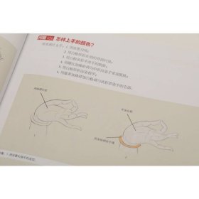 中国画技法有问必答丛书：工笔仕女技法有问必答