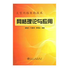 网格理论与应用：大型网络架构技术