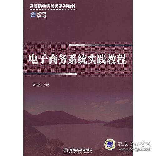 高等院校实践类系列教材：电子商务系统实践教程