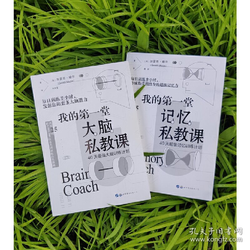 40天强大脑训练计划+40天超记忆训练计划（套装2册）