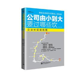 公司由小到大要过哪些坎：—解密创业企业成长经营3阶段、10基因；宋新宇推荐“能长大的企业是有规律的，中小企业的成长地图”； 7大本土全景案例.博瑞森