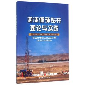 泡沫循环钻井理论与实践
