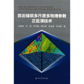 页岩储层多尺度多物理参数正反演技术