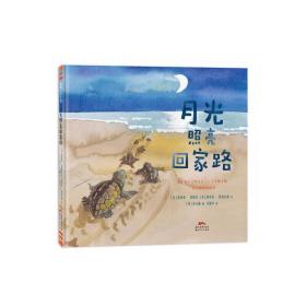 月光照亮回家路从生活中发现问题3-6岁蒲蒲兰绘本