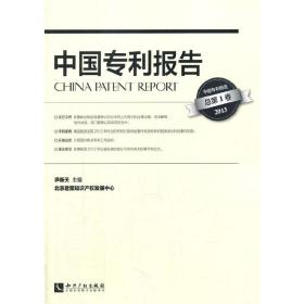 中国专利报告（总第1卷 2013）