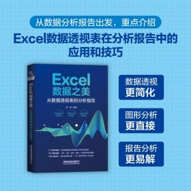 Excel数据之美：从数据透视表到分析报告