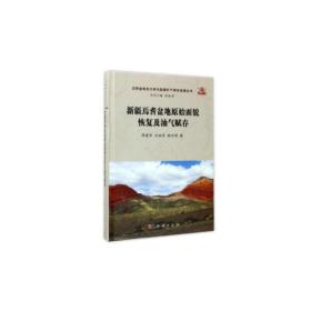 新疆焉耆盆地原始面貌恢复及油气赋存/沉积盆地动力学与能源矿产研究进展丛书