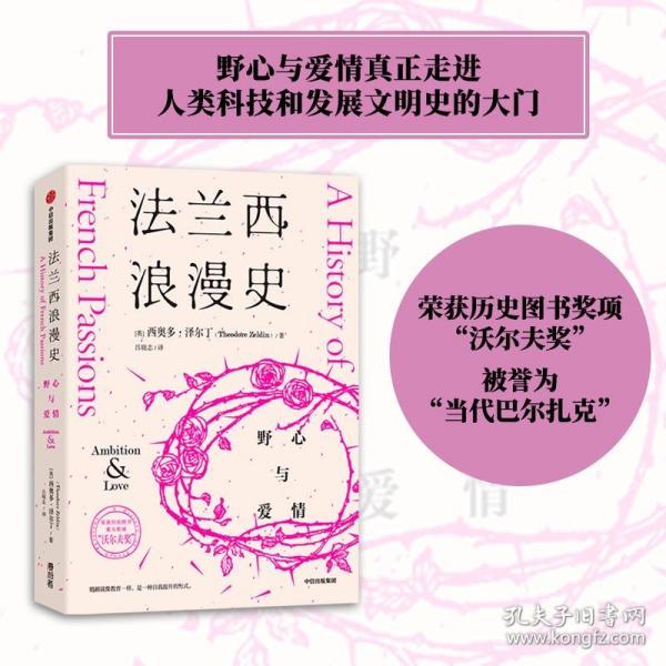 法兰西浪漫史野心与爱情西奥多·泽尔丁著沃尔夫奖作者法国文化入门优质读物