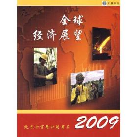 2009年全球经济展望